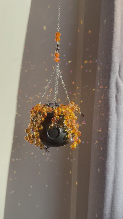 SOL — Chaudron attrape-soleil Automne